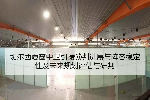 qie-er-xi-xia-chuang-zhong-wei-yin-yuan-tan-pan-jin-zhan-yu-zhen-rong-wen-ding-xing-ji-wei-lai-gui-hua-ping-gu-yu-yan-1-506.jpg